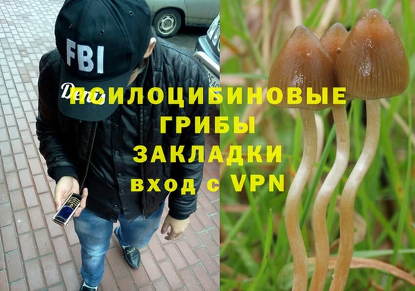 амф Кодинск