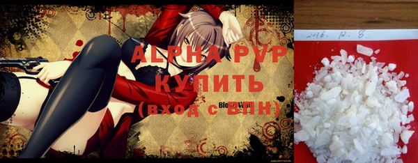 ешки Каменногорск