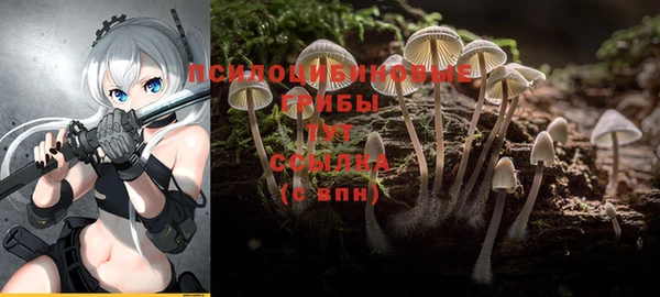 кокаин премиум Каменск-Шахтинский