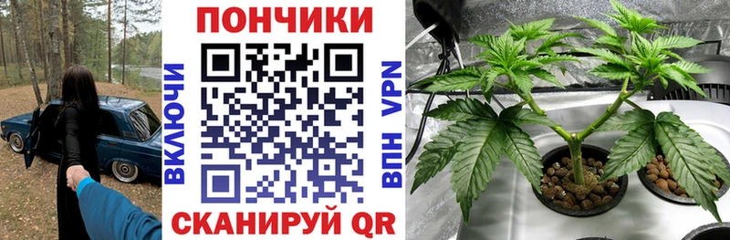 Шишки марихуана марихуана  Купить закладки  Кушва 